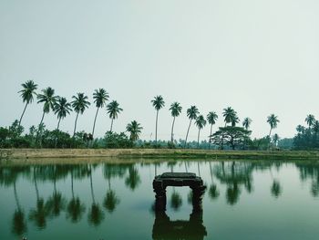 Scenic view of palm trees by lake against sky, indian villages.