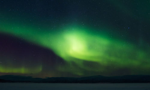 Scenic view of northern lights and star field against sky at night