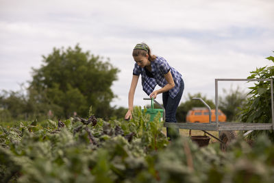 Young woman working as vegetable grower or farmer in the field