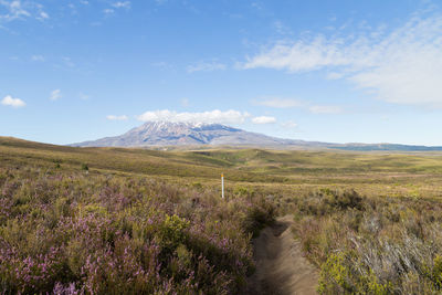 Scenic view of landscape against sky