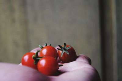 Close-up of hand holding berries