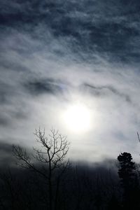 Low angle view of trees against cloudy sky