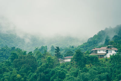 House amidst trees and buildings against sky