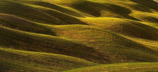 Full frame shot of farm