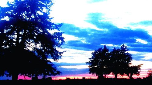 Low angle view of silhouette trees against sky