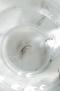 Close-up of water in glass
