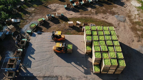 Harvest of apples, small loaders, forklift trucks, machines load, put large wooden boxes full of