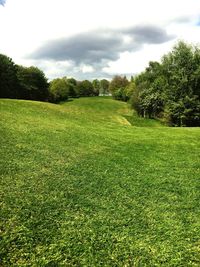 Scenic view of golf course against sky