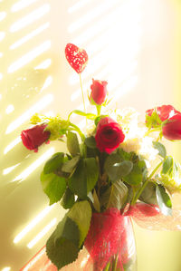 Close-up of red flowers