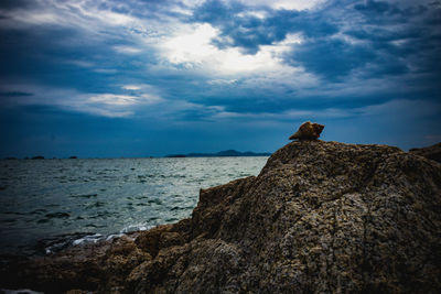 Scenic view of rock on sea shore against sky