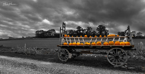 Cart on field by road against sky