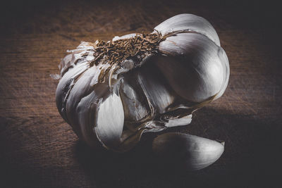 still life photography