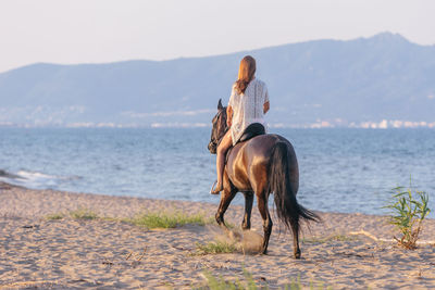 Rear view of horse on the beach