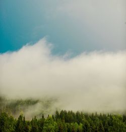Trees on landscape against cloudy sky