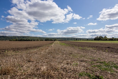 Scenic view of agricultural field against sky