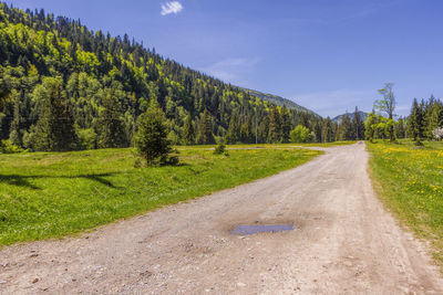 Road amidst trees against sky