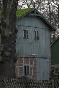 Exterior of house amidst trees and plants in forest