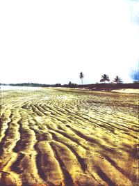 Scenic view of beach against clear sky