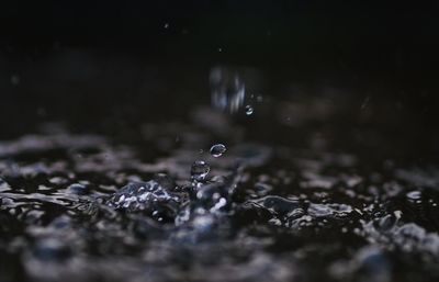 Close-up of raindrops falling on leaves