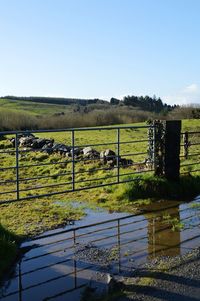 View of fence on field against sky