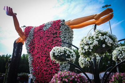 Low angle view of flowering plant against sky