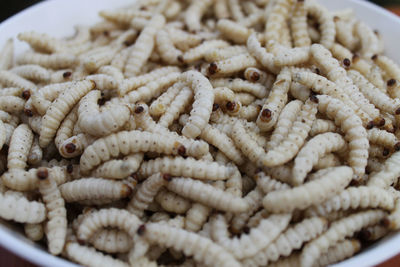 High angle view of food in plate