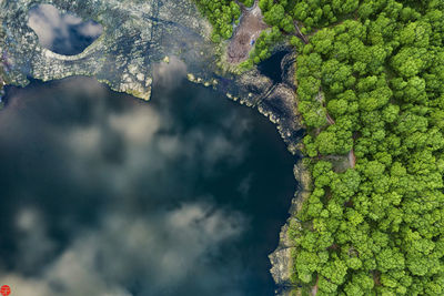 Forest lake. kamchatka peninsula.