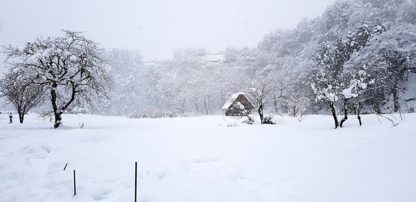 Snow covered land and trees on field during winter