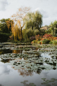 Scenic view of lake in forest against sky