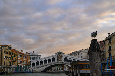 Buildings in city