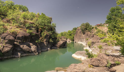 Scenic view of river amidst trees against sky