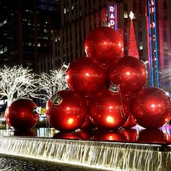 Close-up of red rose