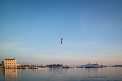 Bird flying over sea against sky