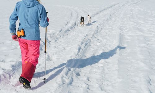 Rear view of people skiing on snow