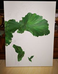 Close-up of green leaves on table at home