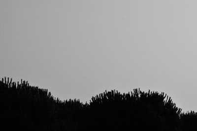 Low angle view of silhouette trees against clear sky