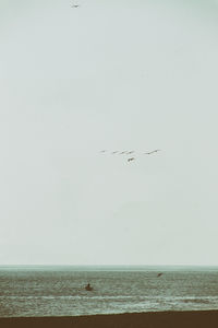 Birds flying over sea against clear sky