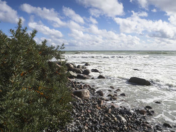 Scenic view of sea against sky