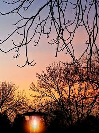 Silhouette bare trees against sky at sunset