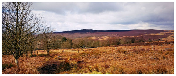 Scenic view of landscape against cloudy sky