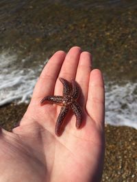 Close-up of hand holding ring on beach