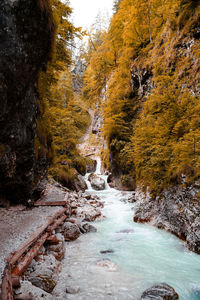 Stream flowing through rocks in forest during autumn