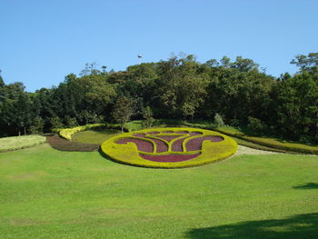 Trees on field against clear sky