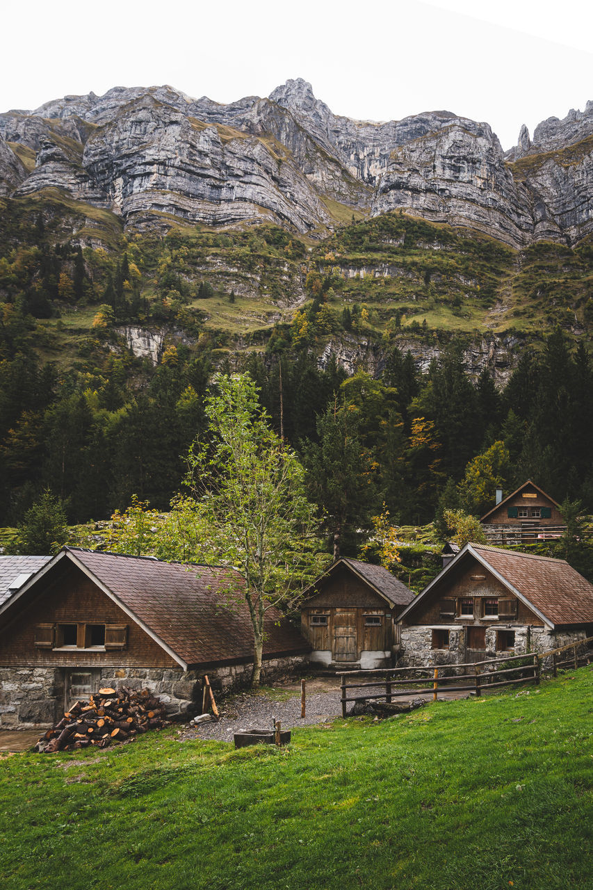 architecture, built structure, plant, building exterior, tree, grass, house, building, green color, no people, nature, mountain, field, land, day, landscape, scenics - nature, beauty in nature, tranquility, growth, outdoors, cottage