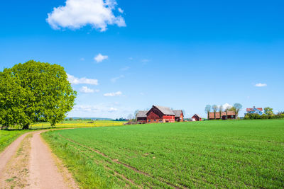 Scenic view of field by houses against sky