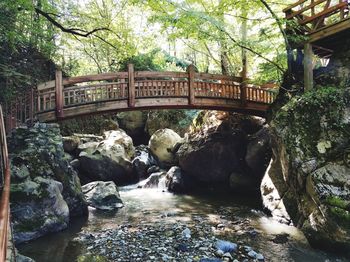 Bridge over river in forest