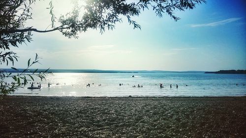 Group of people on beach