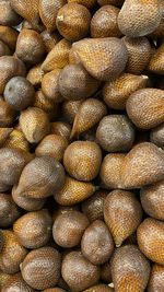 Salak or snake fruit an exotic indonesian fruit