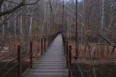 Footbridge over bare trees in forest
