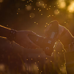 Close-up of hand holding camera photo in hands at sunset light